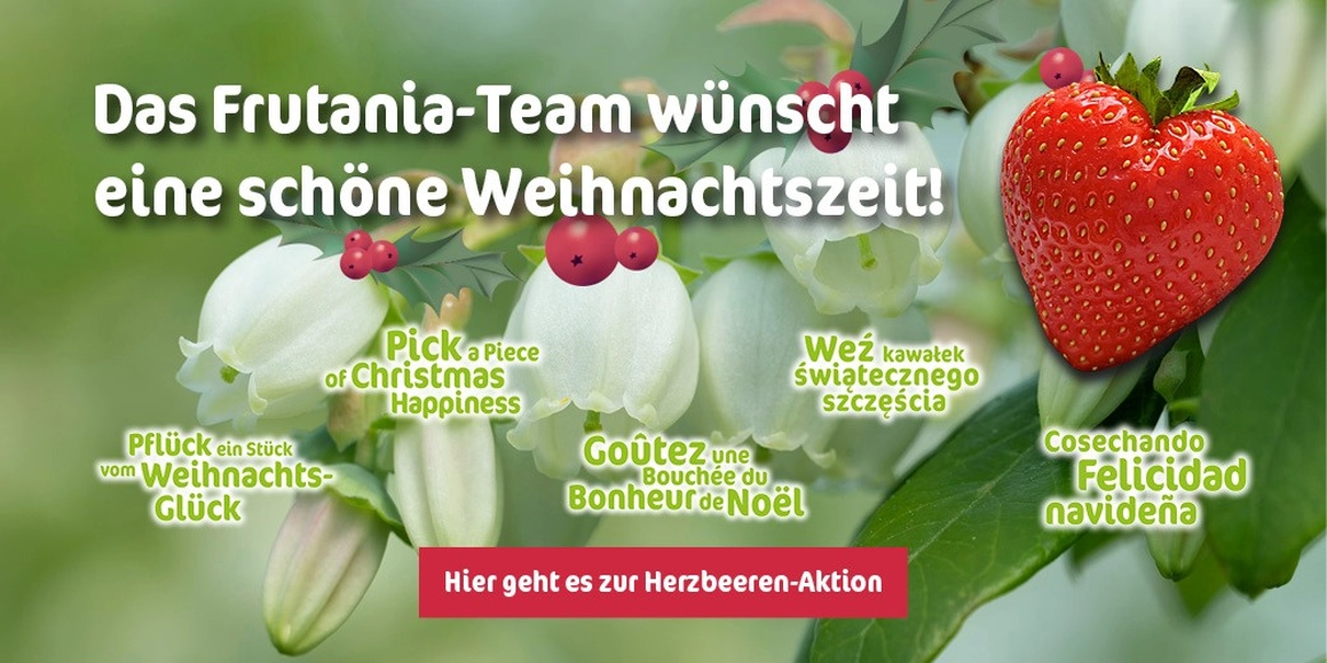 Herzbeeren-2025_1210