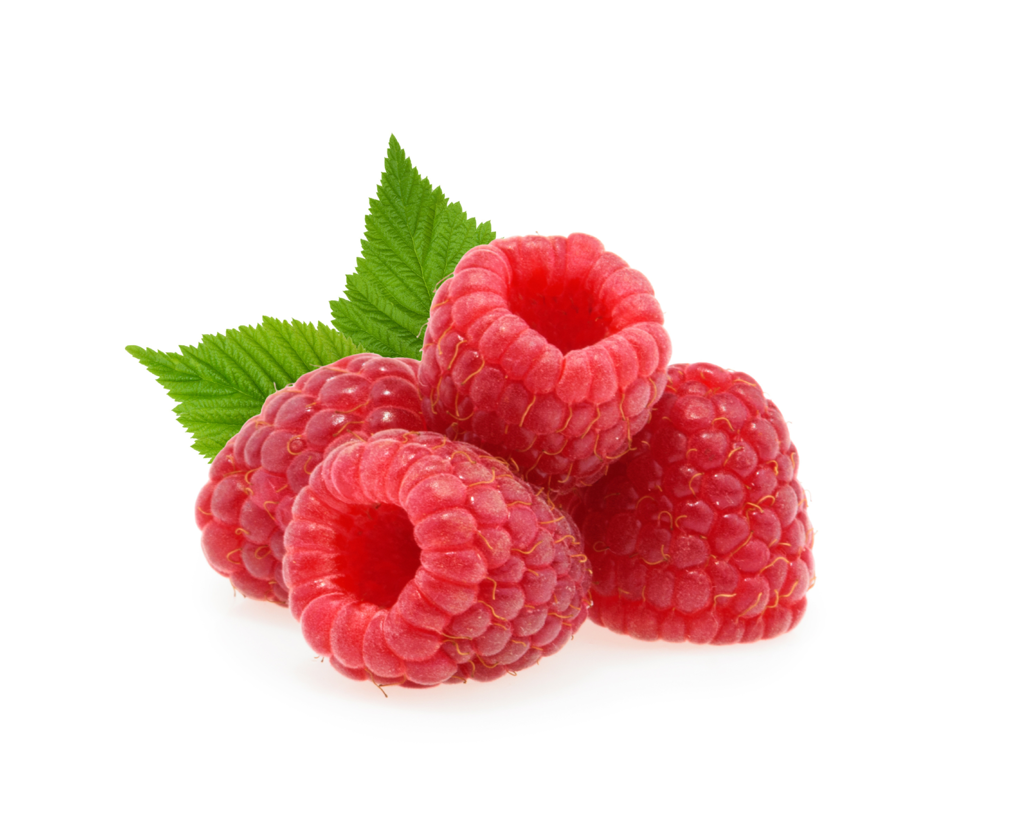 Raspberries raspberries